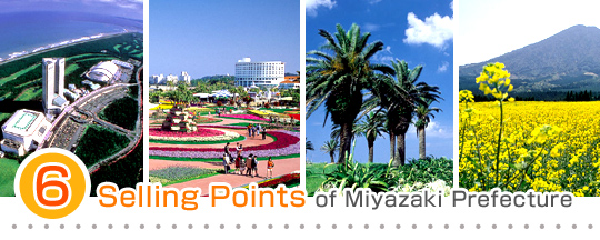 6 Selling Points of Miyazaki