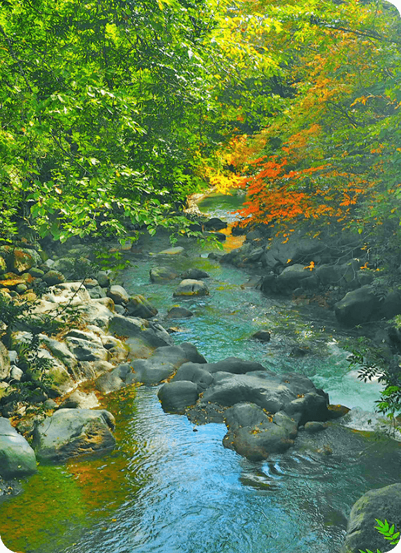 県西